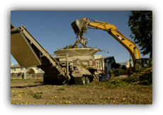Palm Bay Land Clearing Service