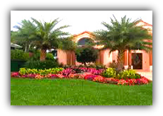Landscape Design